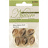AussieSuperStore Jewellery Making Supplies JF Shell Bead 20mm JF Shell Bead 20mm | Jewellery Making Beads | Jewellery Making Supplies 9323823200596 SHE1801